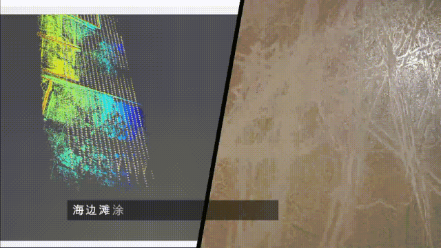 DM_20231107180622_009.gif